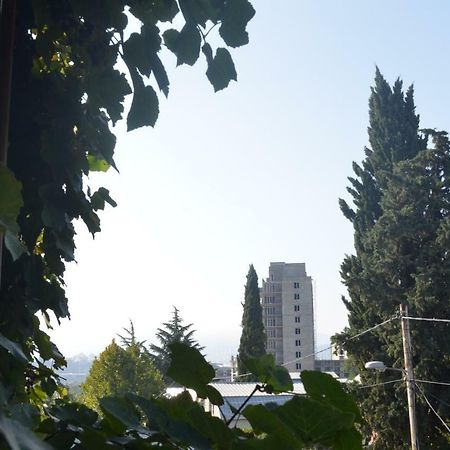Alex'S Cosy Guesthouse Tiflis Exterior foto
