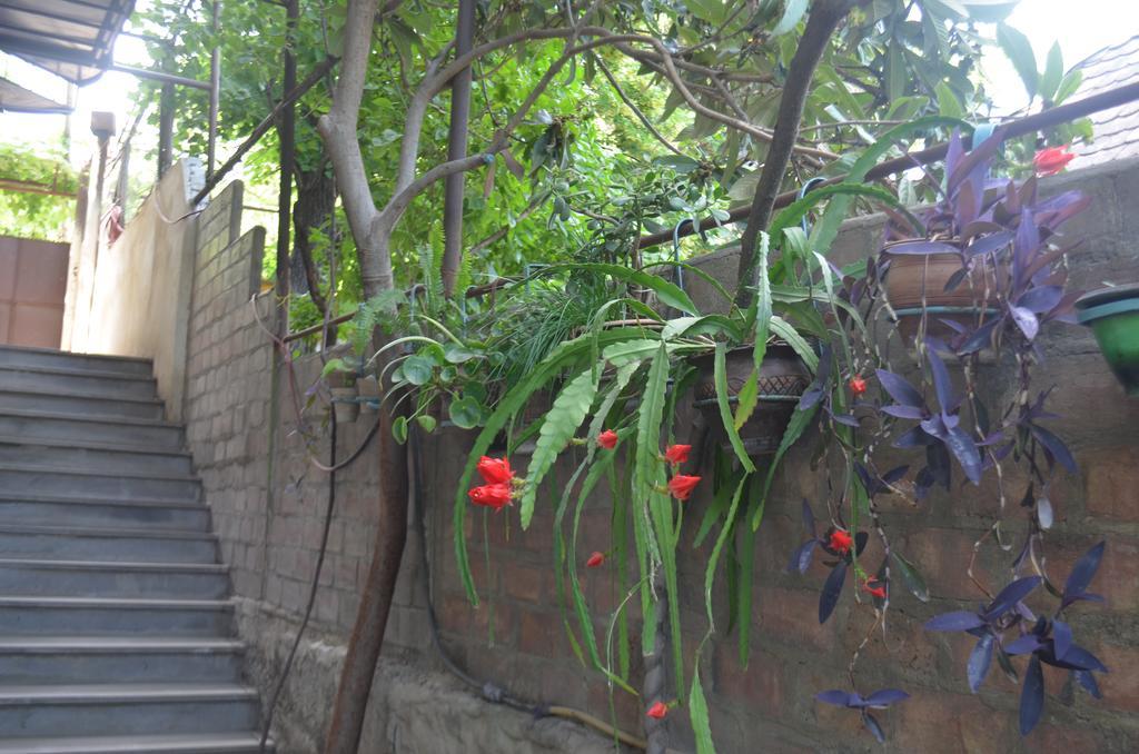 Alex'S Cosy Guesthouse Tiflis Exterior foto