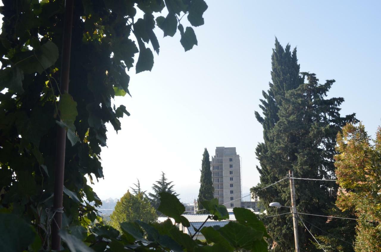 Alex'S Cosy Guesthouse Tiflis Exterior foto